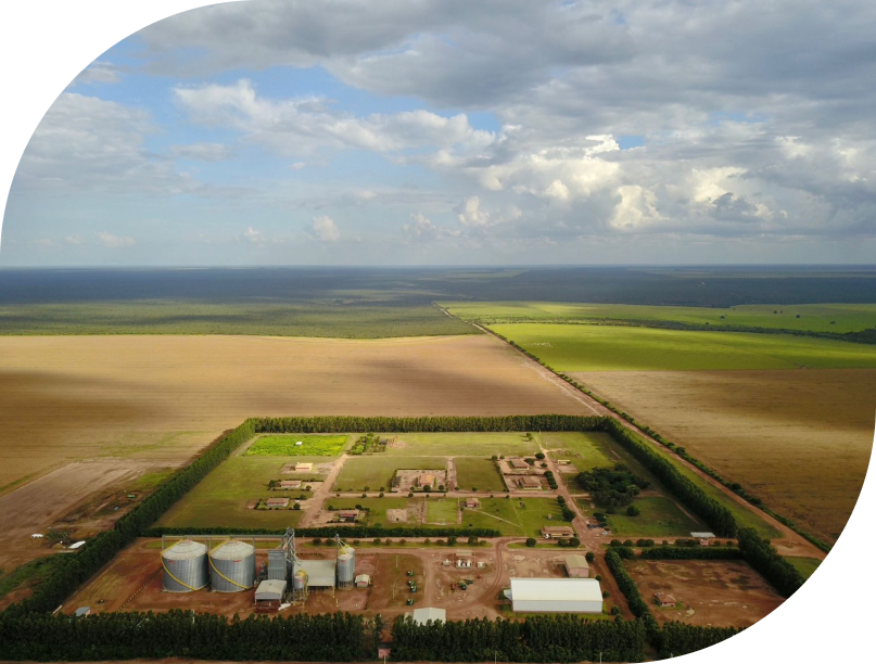 Foto de campo de agricultura